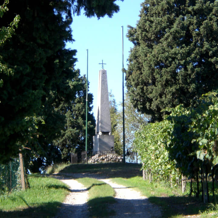 Azienda Agricola Tamburino Sardo